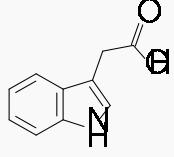 The auxin indoleacetic acid